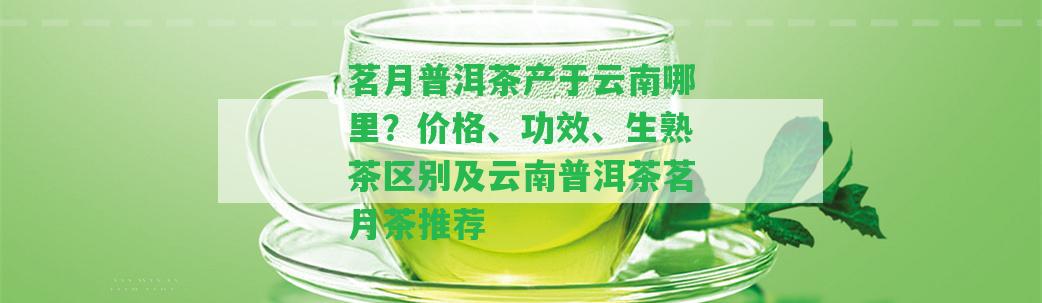 茗月普洱茶產(chǎn)于云南哪里？價格、功效、生熟茶區(qū)別及云南普洱茶茗月茶推薦