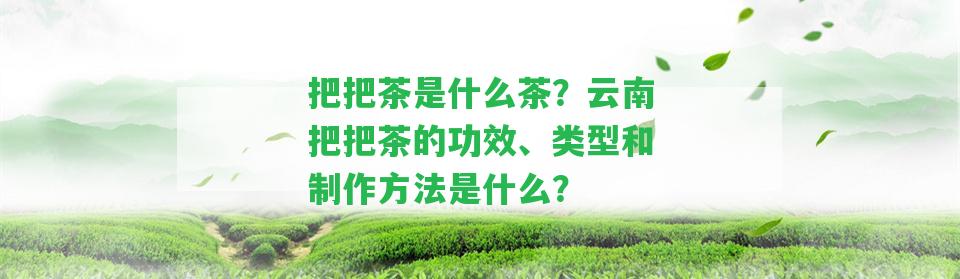 把把茶是什么茶？云南把把茶的功效、類型和制作方法是什么？