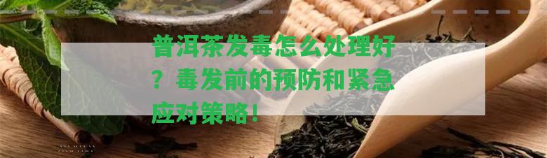 普洱茶發(fā)毒怎么解決好？毒發(fā)前的預(yù)防和緊急應(yīng)對(duì)策略！