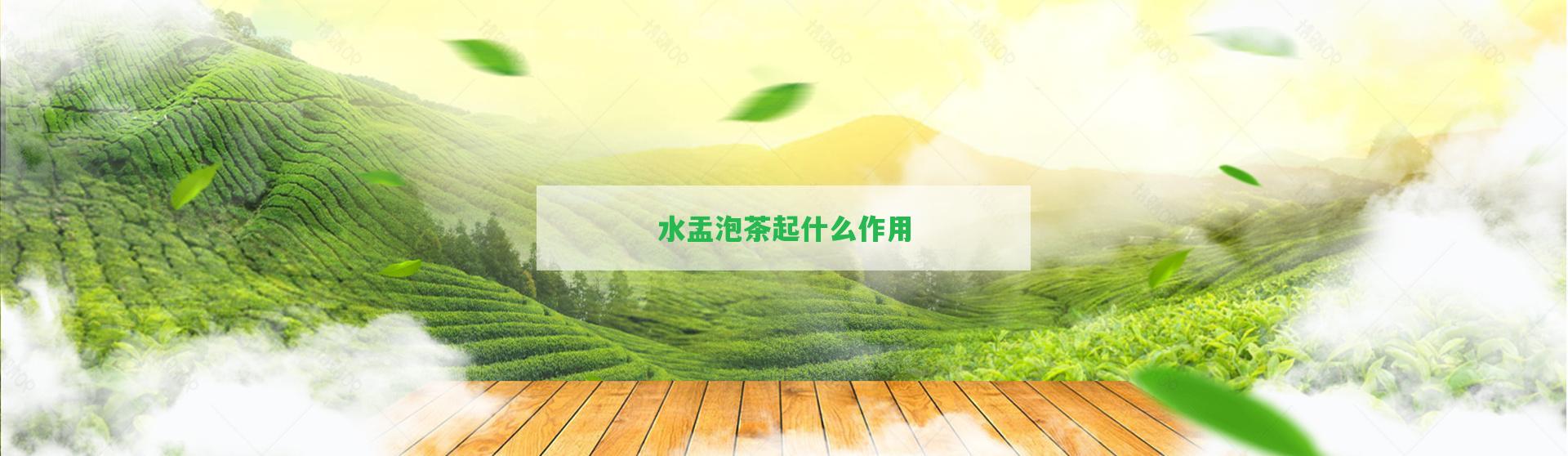 水盂泡茶起什么作用