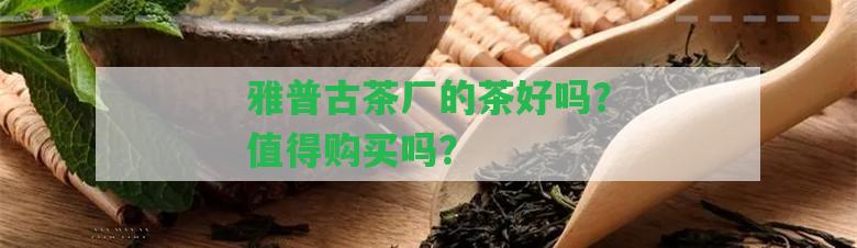 雅普古茶廠的茶好嗎？值得購買嗎？