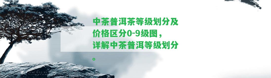 中茶普洱茶等級劃分及價格區(qū)分0-9級圖，詳解中茶普洱等級劃分。