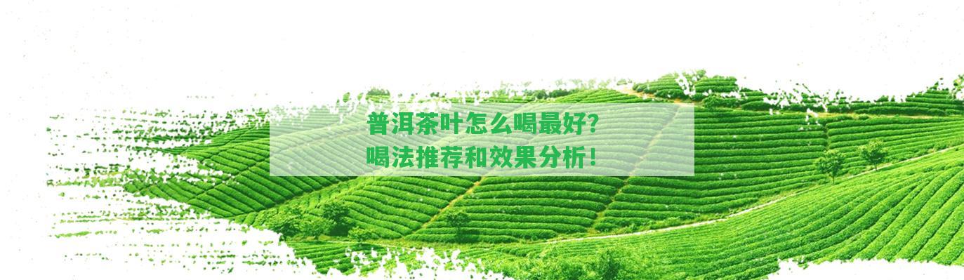 普洱茶葉怎么喝最好？喝法推薦和效果分析！