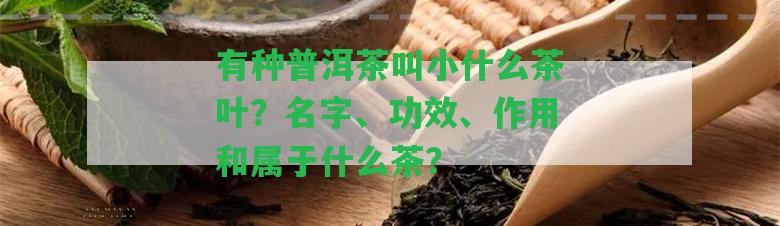 有種普洱茶叫小什么茶葉？名字、功效、作用和屬于什么茶？