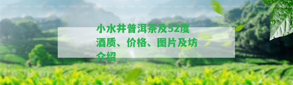 小水井普洱茶及52度酒質(zhì)、價(jià)格、圖片及坊介紹