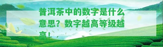 普洱茶中的數(shù)字是什么意思？數(shù)字越高等級越高！