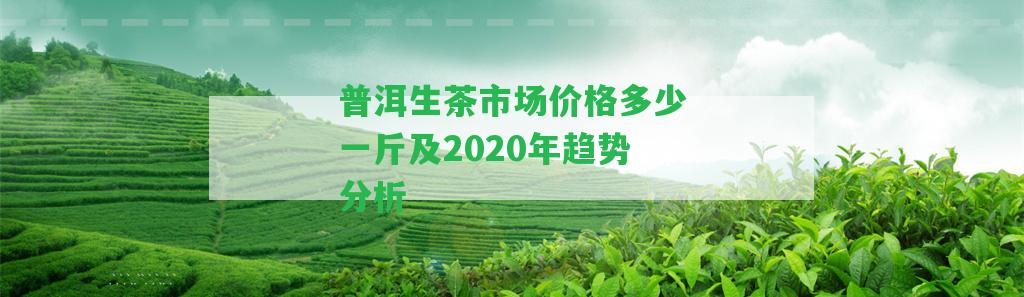 普洱生茶市場價格多少一斤及2020年趨勢分析