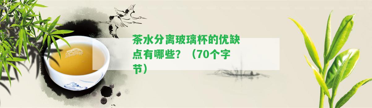 茶水分離玻璃杯的優(yōu)缺點有哪些？（70個字節(jié)）