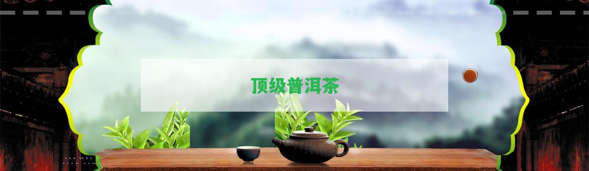 頂級(jí)普洱茶