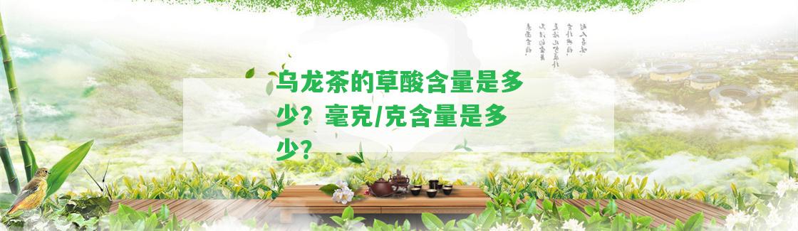 烏龍茶的草酸含量是多少？毫克/克含量是多少？