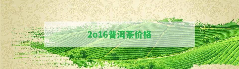 2o16普洱茶價(jià)格