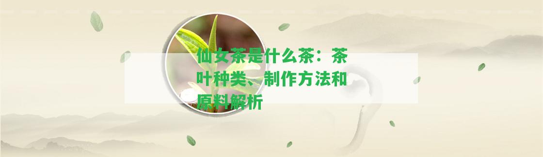 仙女茶是什么茶：茶葉種類(lèi)、制作方法和原料解析