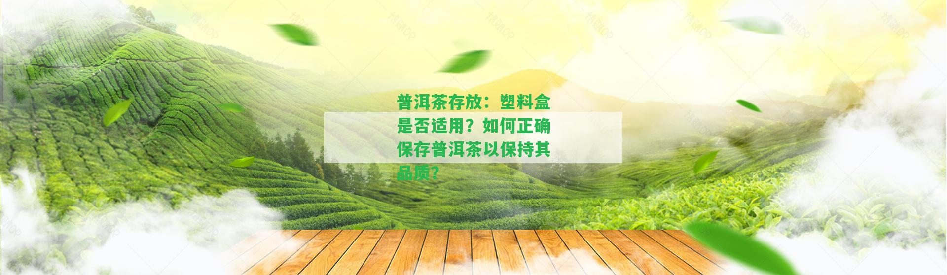 普洱茶存放：塑料盒是否適用？如何正確保存普洱茶以保持其品質(zhì)？