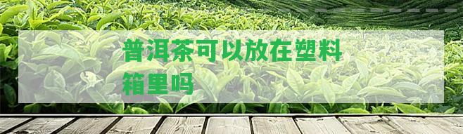 普洱茶可以放在塑料箱里嗎