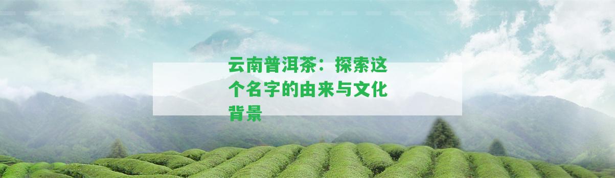 云南普洱茶：探索這個名字的由來與文化背景