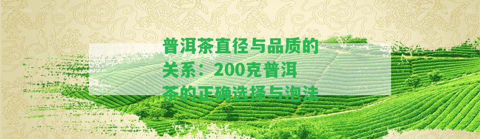 普洱茶直徑與品質(zhì)的關(guān)系：200克普洱茶的正確選擇與泡法