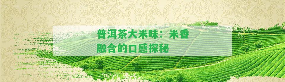 普洱茶大米味：米香融合的口感探秘