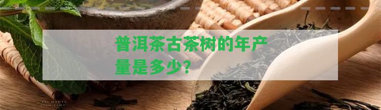 普洱茶古茶樹的年產(chǎn)量是多少？