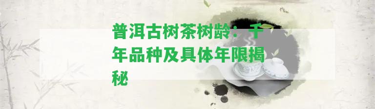 普洱古樹茶樹齡：千年品種及具體年限揭秘