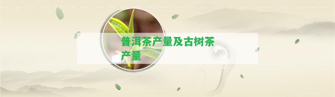 普洱茶產(chǎn)量及古樹茶產(chǎn)量