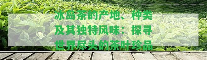 冰島茶的產(chǎn)地、種類及其獨特風(fēng)味：探尋世界盡頭的茶葉珍品