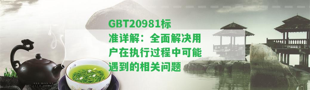 GBT20981標(biāo)準(zhǔn)詳解：全面解決用戶在執(zhí)行過程中可能遇到的相關(guān)問題