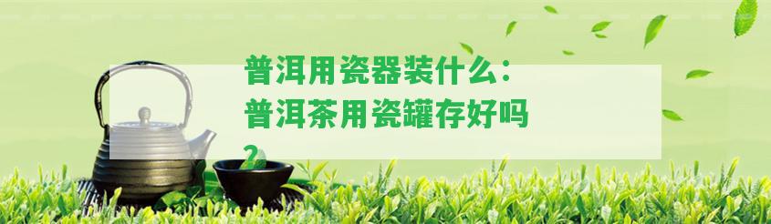 普洱用瓷器裝什么：普洱茶用瓷罐存好嗎？