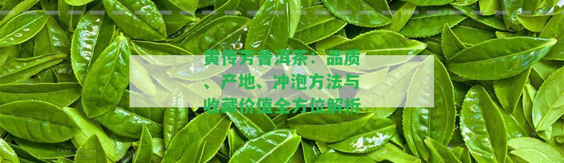 黃傳芳普洱茶：品質(zhì)、產(chǎn)地、沖泡方法與收藏價值全方位解析