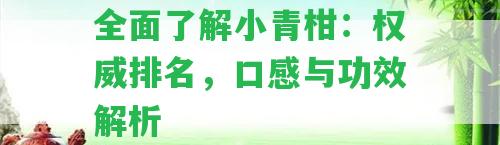 全面了解小青柑：權(quán)威排名，口感與功效解析