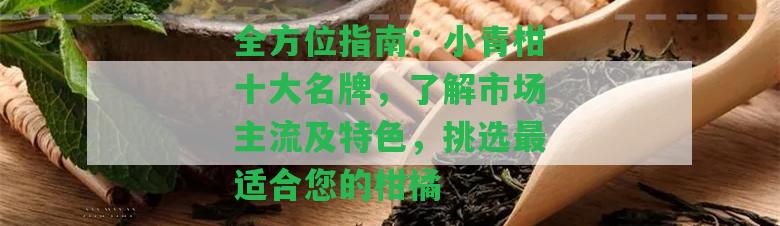 全方位指南：小青柑十大名牌，了解市場主流及特色，挑選最適合您的柑橘