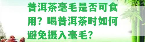 普洱茶毫毛是否可食用？喝普洱茶時如何避免攝入毫毛？